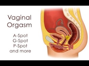 vaginal orgasm