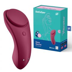 Satisfyer Sexy Secret App Controlled Panty Vibrator with Packaging